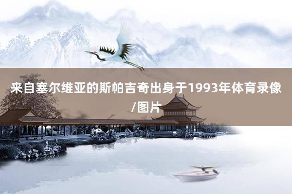 来自塞尔维亚的斯帕吉奇出身于1993年体育录像/图片