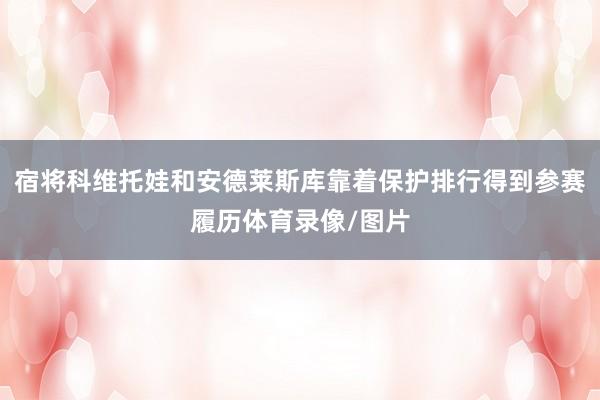 宿将科维托娃和安德莱斯库靠着保护排行得到参赛履历体育录像/图