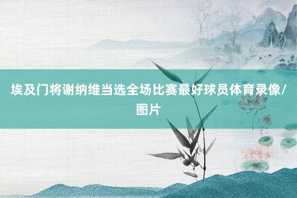 埃及门将谢纳维当选全场比赛最好球员体育录像/图片