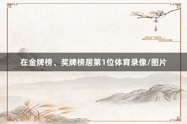 在金牌榜、奖牌榜居第1位体育录像/图片
