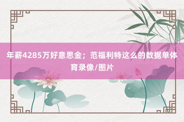 年薪4285万好意思金；范福利特这么的数据单体育录像/图片