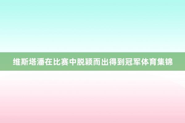 维斯塔潘在比赛中脱颖而出得到冠军体育集锦