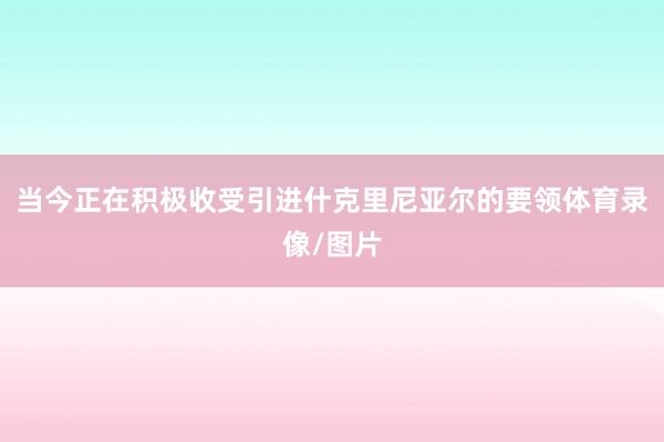 当今正在积极收受引进什克里尼亚尔的要领体育录像/图片