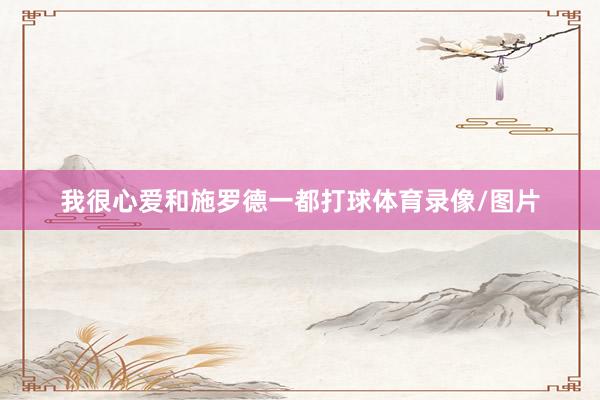 我很心爱和施罗德一都打球体育录像/图片