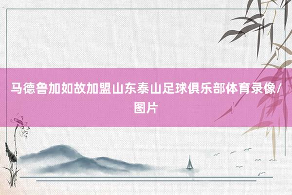 马德鲁加如故加盟山东泰山足球俱乐部体育录像/图片