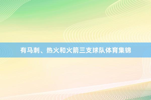 有马刺、热火和火箭三支球队体育集锦