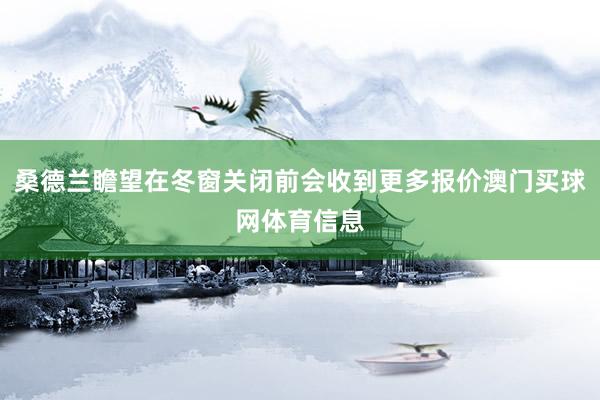 桑德兰瞻望在冬窗关闭前会收到更多报价澳门买球网体育信息