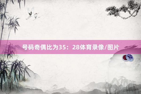 号码奇偶比为35：28体育录像/图片