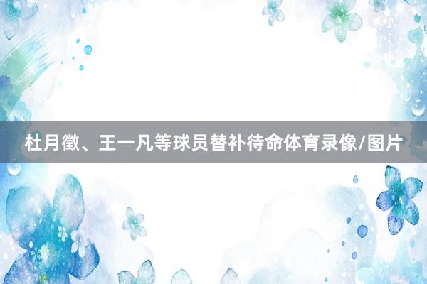 杜月徵、王一凡等球员替补待命体育录像/图片