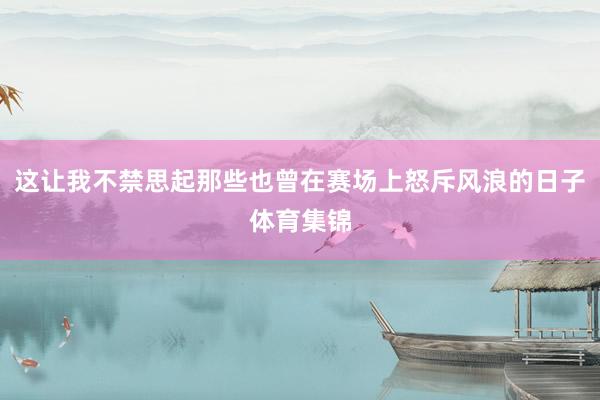 这让我不禁思起那些也曾在赛场上怒斥风浪的日子体育集锦