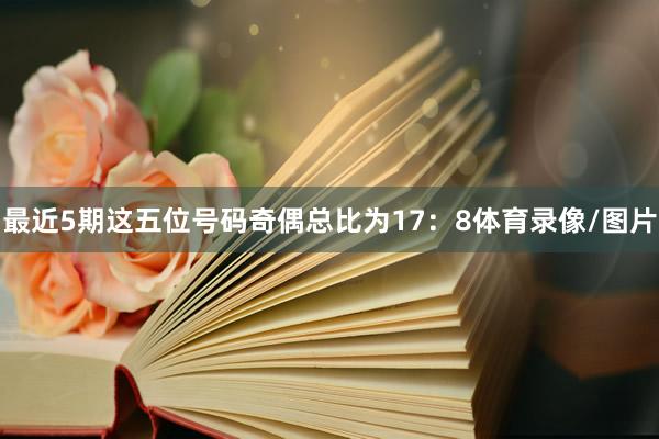 最近5期这五位号码奇偶总比为17：8体育录像/图片