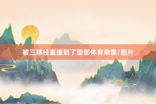 被三球径直撞到了面部体育录像/图片