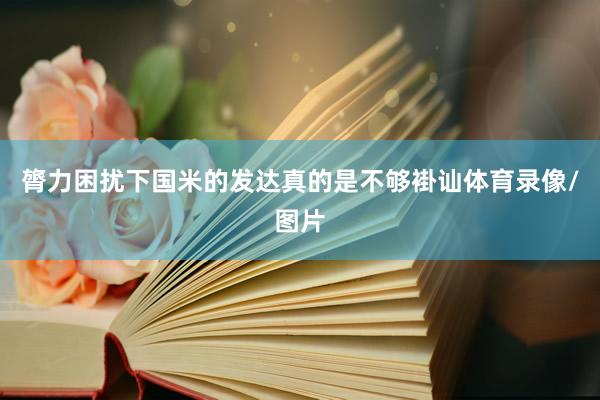 膂力困扰下国米的发达真的是不够褂讪体育录像/图片