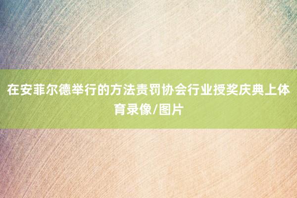 在安菲尔德举行的方法责罚协会行业授奖庆典上体育录像/图片