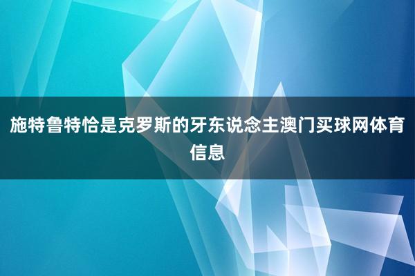 施特鲁特恰是克罗斯的牙东说念主澳门买球网体育信息
