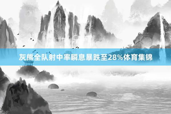 灰熊全队射中率瞬息暴跌至28%体育集锦