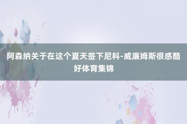 阿森纳关于在这个夏天签下尼科-威廉姆斯很感酷好体育集锦