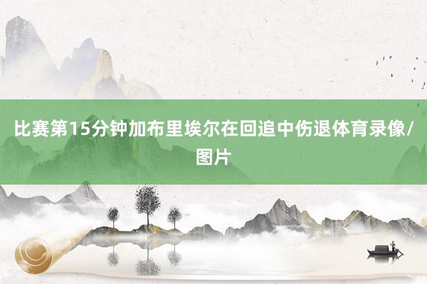 比赛第15分钟加布里埃尔在回追中伤退体育录像/图片