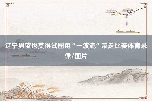 辽宁男篮也莫得试图用“一波流”带走比赛体育录像/图片