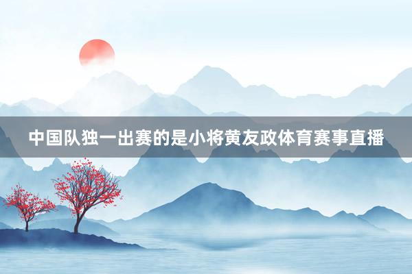 中国队独一出赛的是小将黄友政体育赛事直播