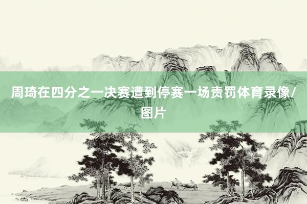 周琦在四分之一决赛遭到停赛一场责罚体育录像/图片