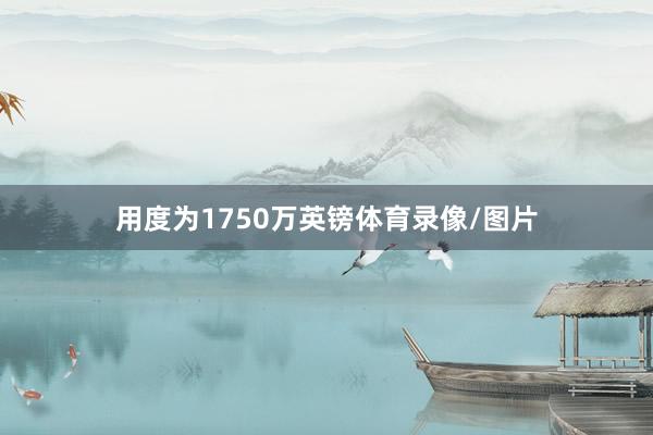 用度为1750万英镑体育录像/图片