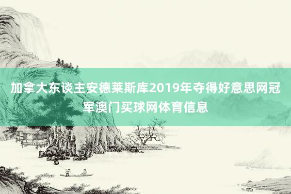 加拿大东谈主安德莱斯库2019年夺得好意思网冠军澳门买球网体育信息