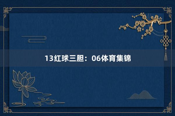 13　　红球三胆：06体育集锦