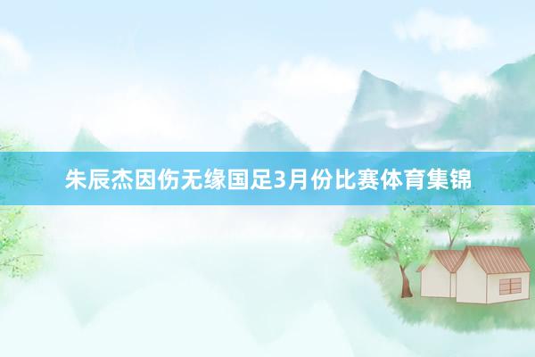 朱辰杰因伤无缘国足3月份比赛体育集锦