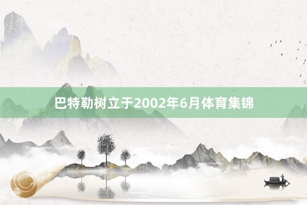 巴特勒树立于2002年6月体育集锦
