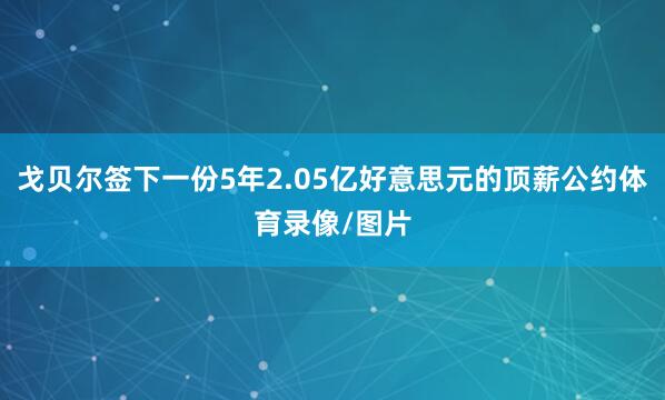 戈贝尔签下一份5年2.05亿好意思元的顶薪公约体育录像/图片