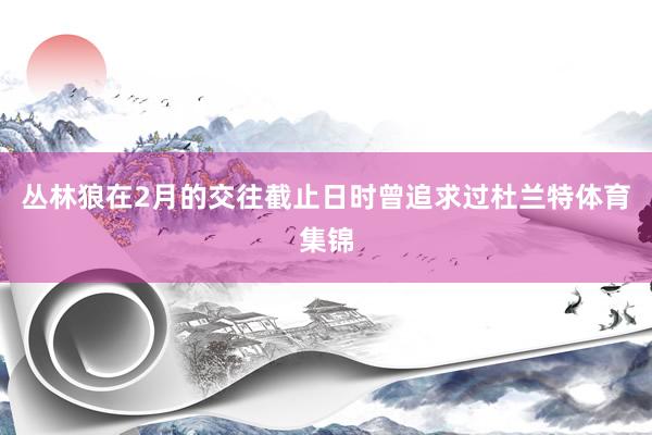 丛林狼在2月的交往截止日时曾追求过杜兰特体育集锦