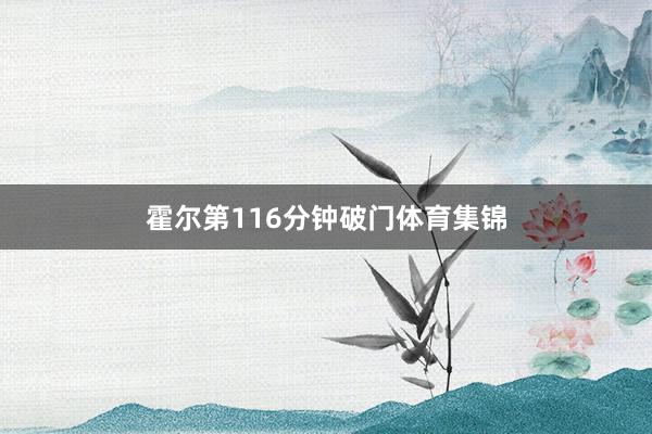 霍尔第116分钟破门体育集锦