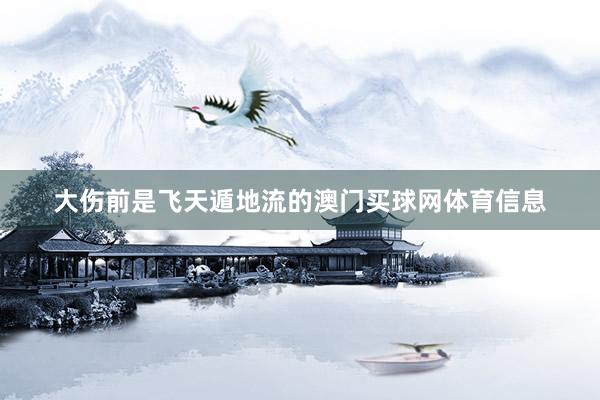 大伤前是飞天遁地流的澳门买球网体育信息