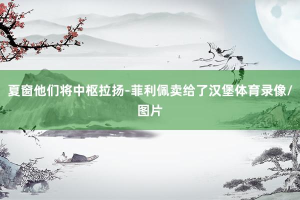 夏窗他们将中枢拉扬-菲利佩卖给了汉堡体育录像/图片