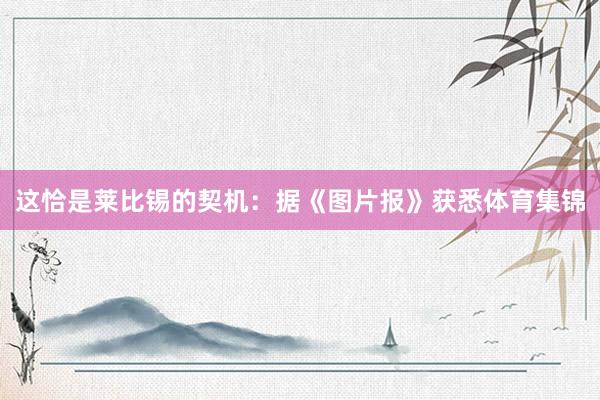 这恰是莱比锡的契机：据《图片报》获悉体育集锦