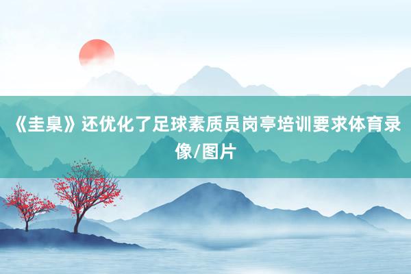 《圭臬》还优化了足球素质员岗亭培训要求体育录像/图片