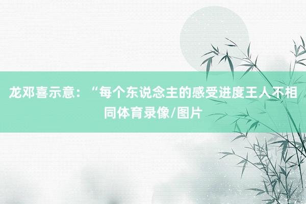龙邓喜示意：“每个东说念主的感受进度王人不相同体育录像/图片