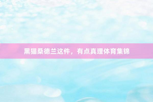黑猫桑德兰这件，有点真理体育集锦