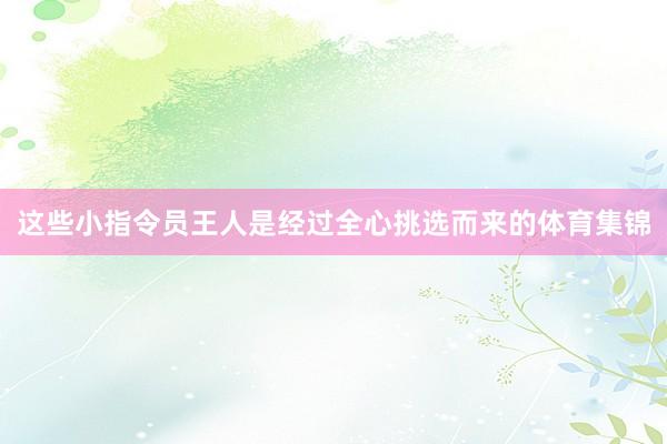 这些小指令员王人是经过全心挑选而来的体育集锦