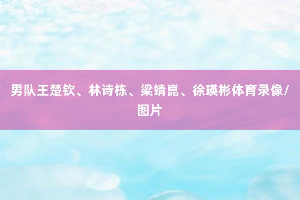 男队王楚钦、林诗栋、梁靖崑、徐瑛彬体育录像/图片