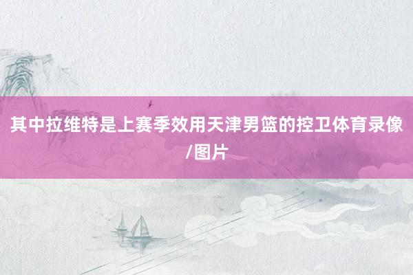 其中拉维特是上赛季效用天津男篮的控卫体育录像/图片