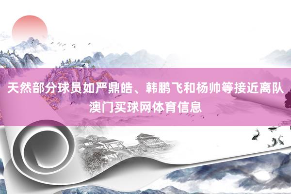 天然部分球员如严鼎皓、韩鹏飞和杨帅等接近离队澳门买球网体育信息