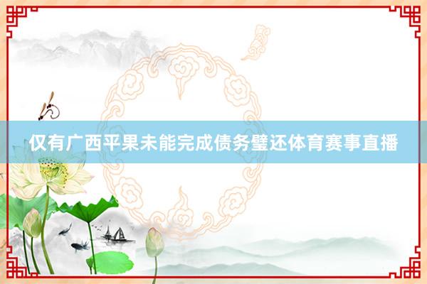 仅有广西平果未能完成债务璧还体育赛事直播