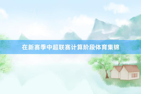 在新赛季中超联赛计算阶段体育集锦