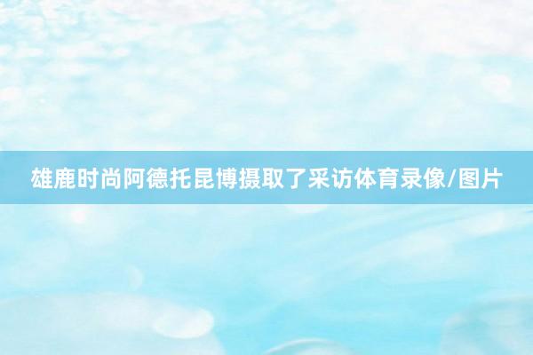 雄鹿时尚阿德托昆博摄取了采访体育录像/图片