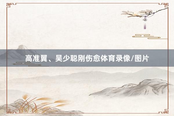 高准翼、吴少聪刚伤愈体育录像/图片