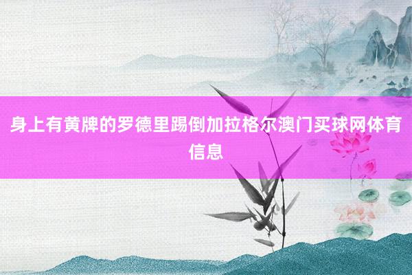 身上有黄牌的罗德里踢倒加拉格尔澳门买球网体育信息