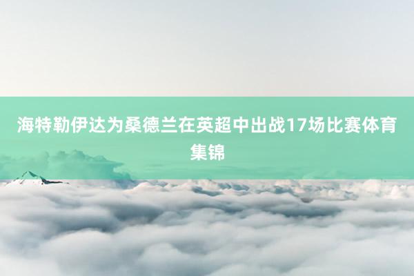 海特勒伊达为桑德兰在英超中出战17场比赛体育集锦