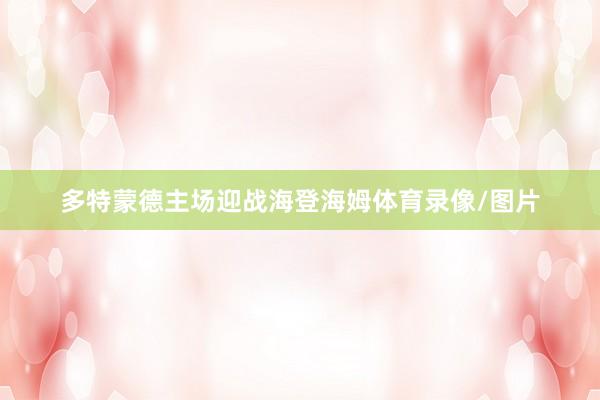 多特蒙德主场迎战海登海姆体育录像/图片
